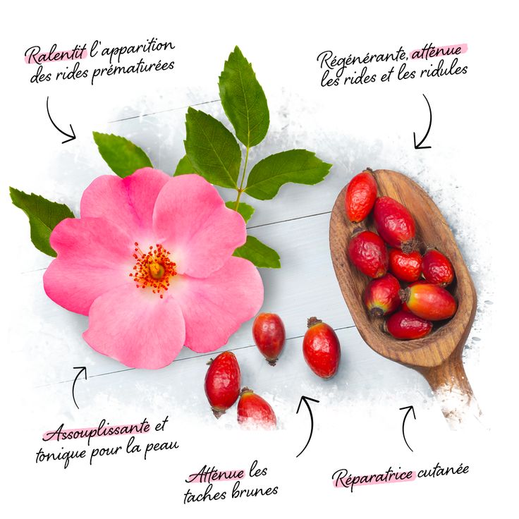 Huile de pépins de rose musquée bio 100 ml